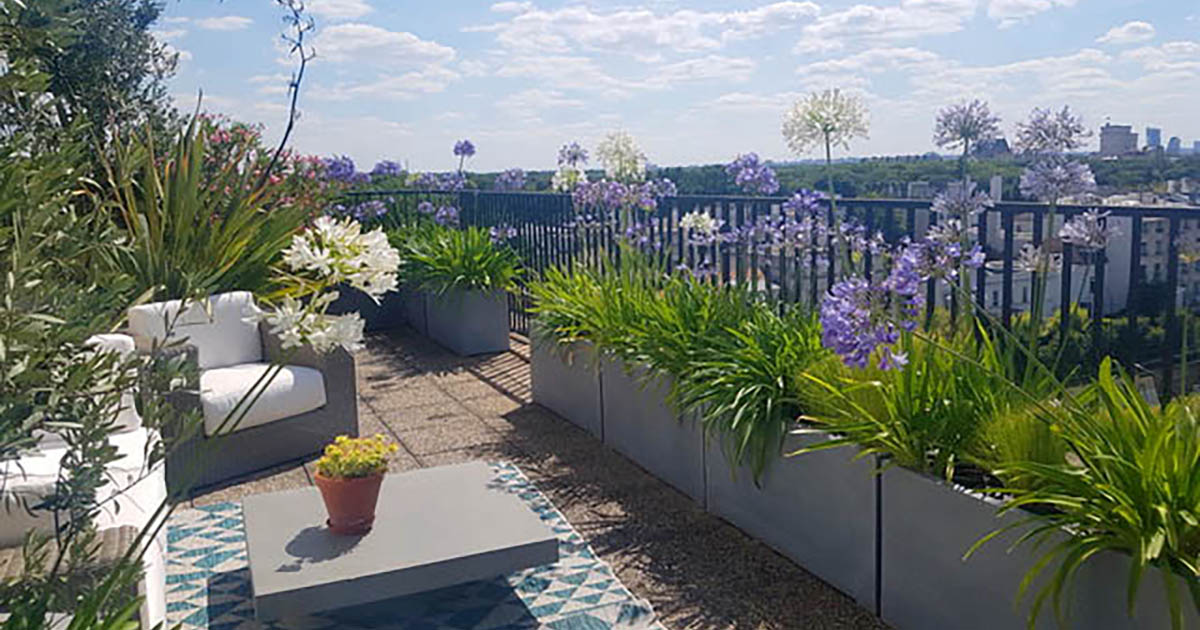 Terrasse à Vincennes